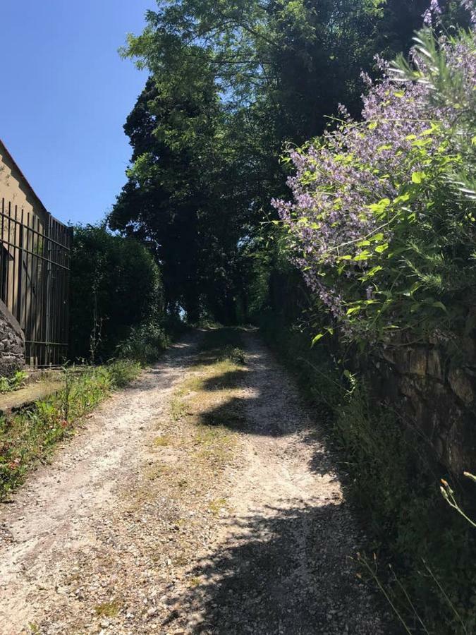 Antica Dimora Di Laura Apartman Barberino di Mugello Kültér fotó