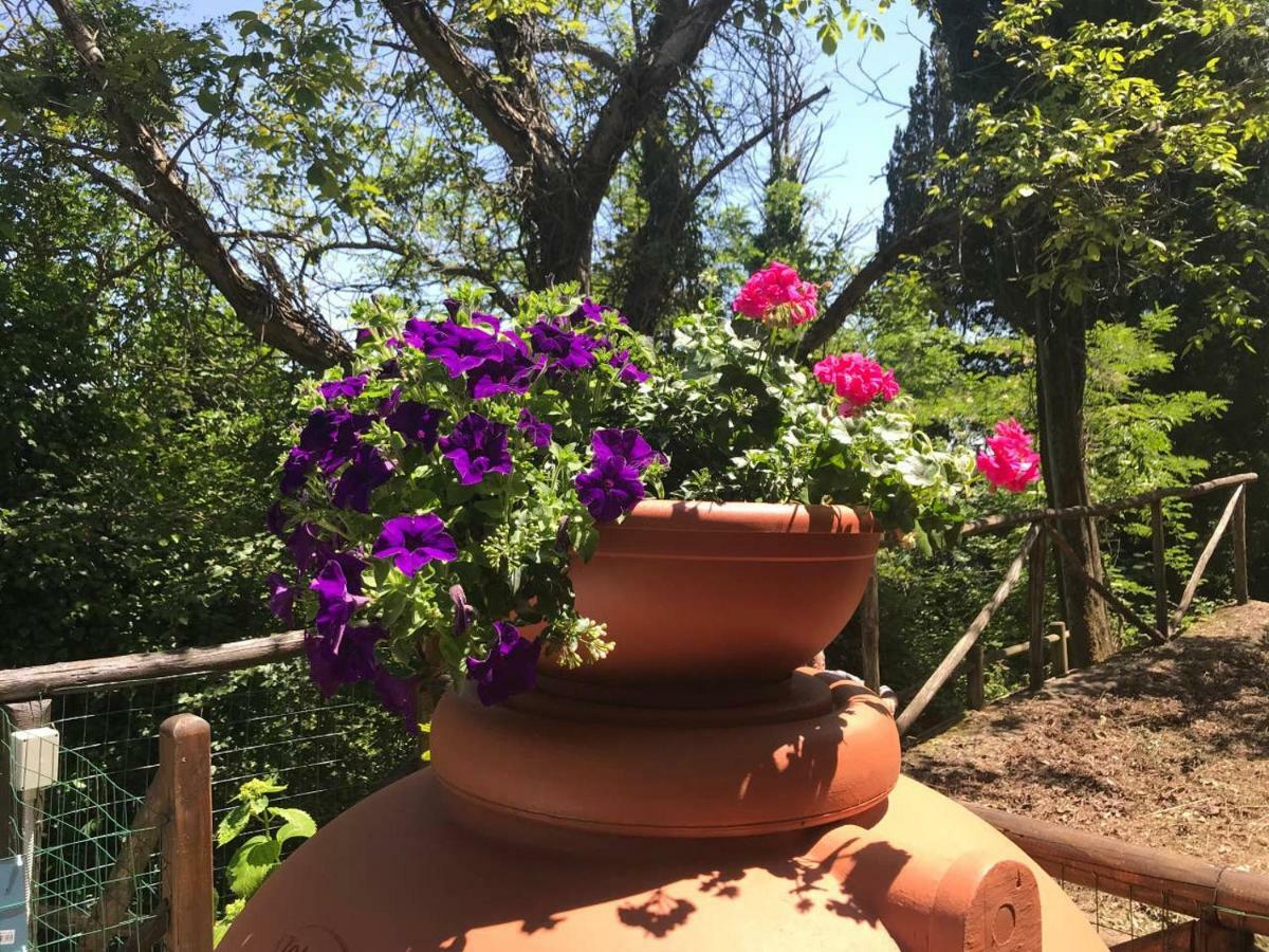 Antica Dimora Di Laura Apartman Barberino di Mugello Kültér fotó