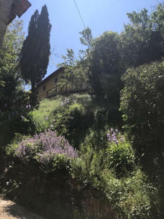 Antica Dimora Di Laura Apartman Barberino di Mugello Kültér fotó
